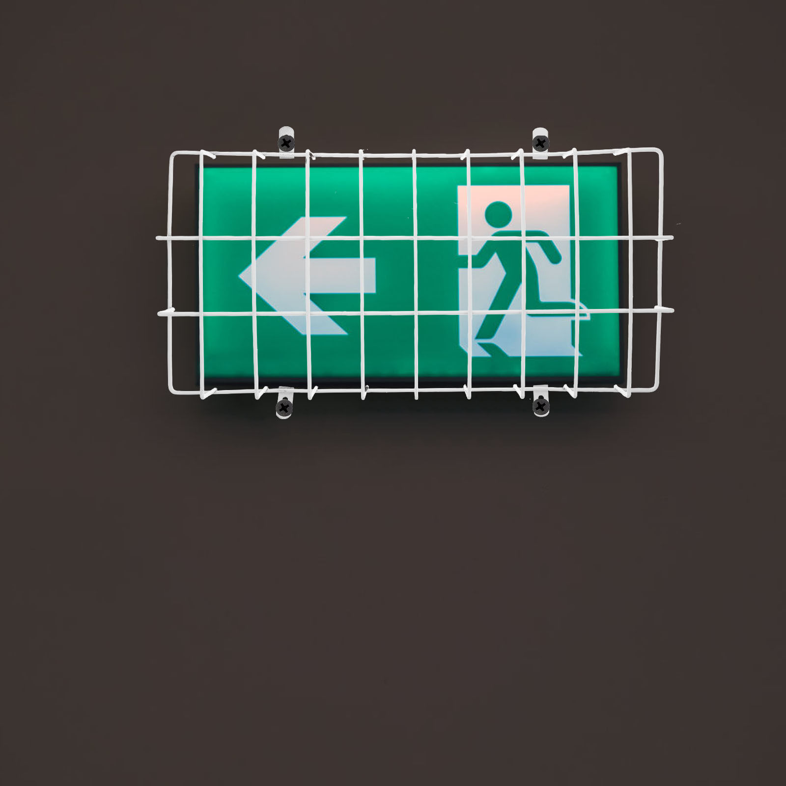 Uitgangsbord Lichtdraadbescher - Emergency Exit Sign recensie en prijs